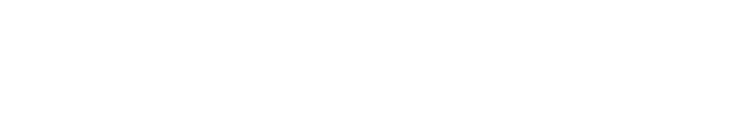 VividMinds Logo
